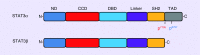 <b>Figure 1.</b>