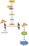 Figure 13.
