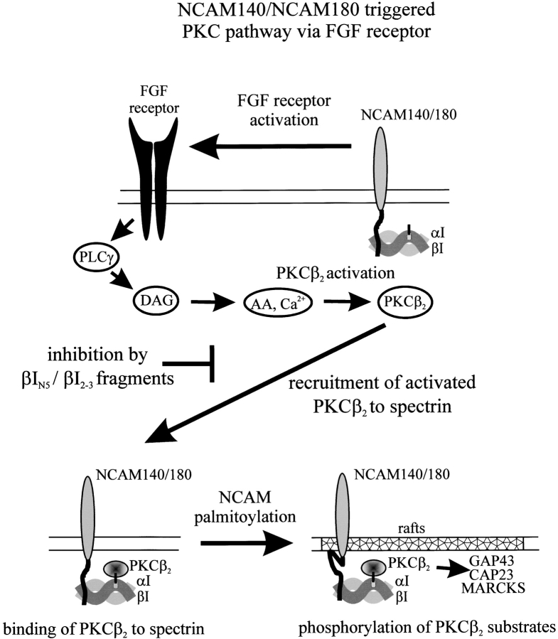 Figure 9.