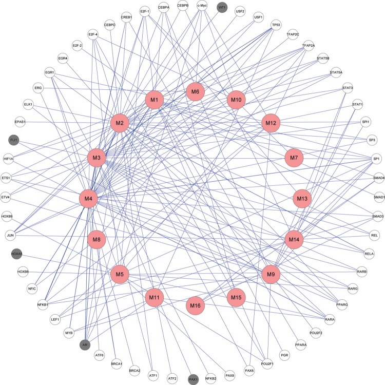 Figure 4