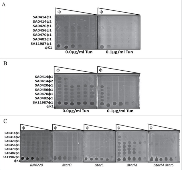 Figure 6.