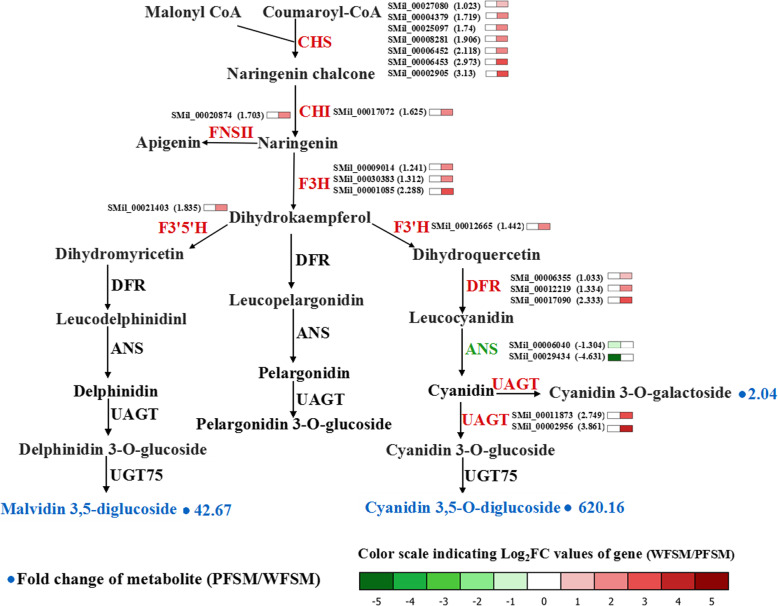 Fig. 6