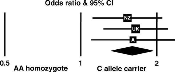 AGTR1 A1166>C and AAA susceptibility