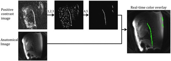 Fig. 2