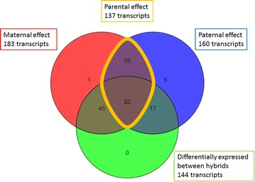 Fig. 6