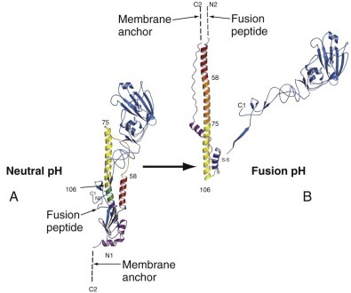 FIGURE 134-3