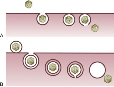 FIGURE 134-4