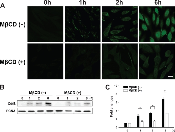 Fig. 10.