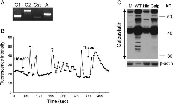 Figure 3.