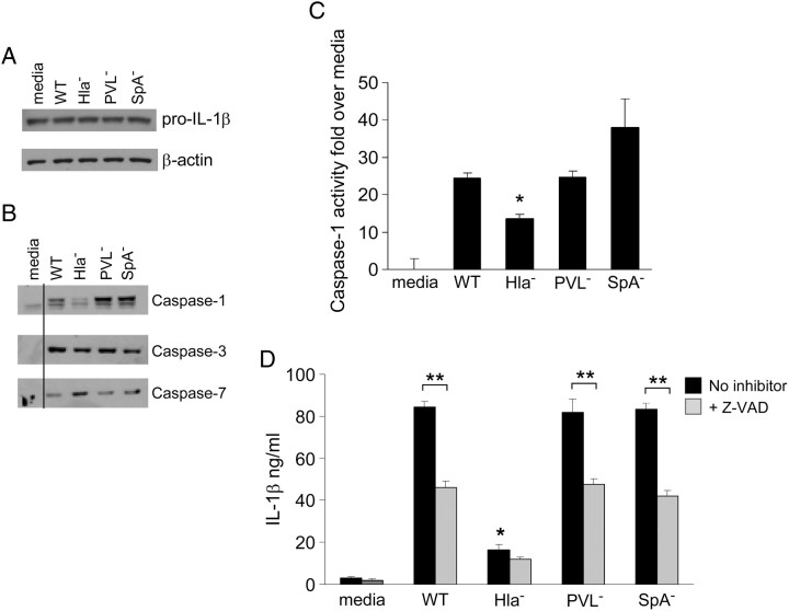 Figure 2.