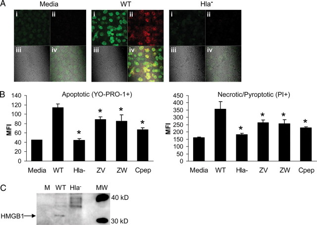 Figure 4.