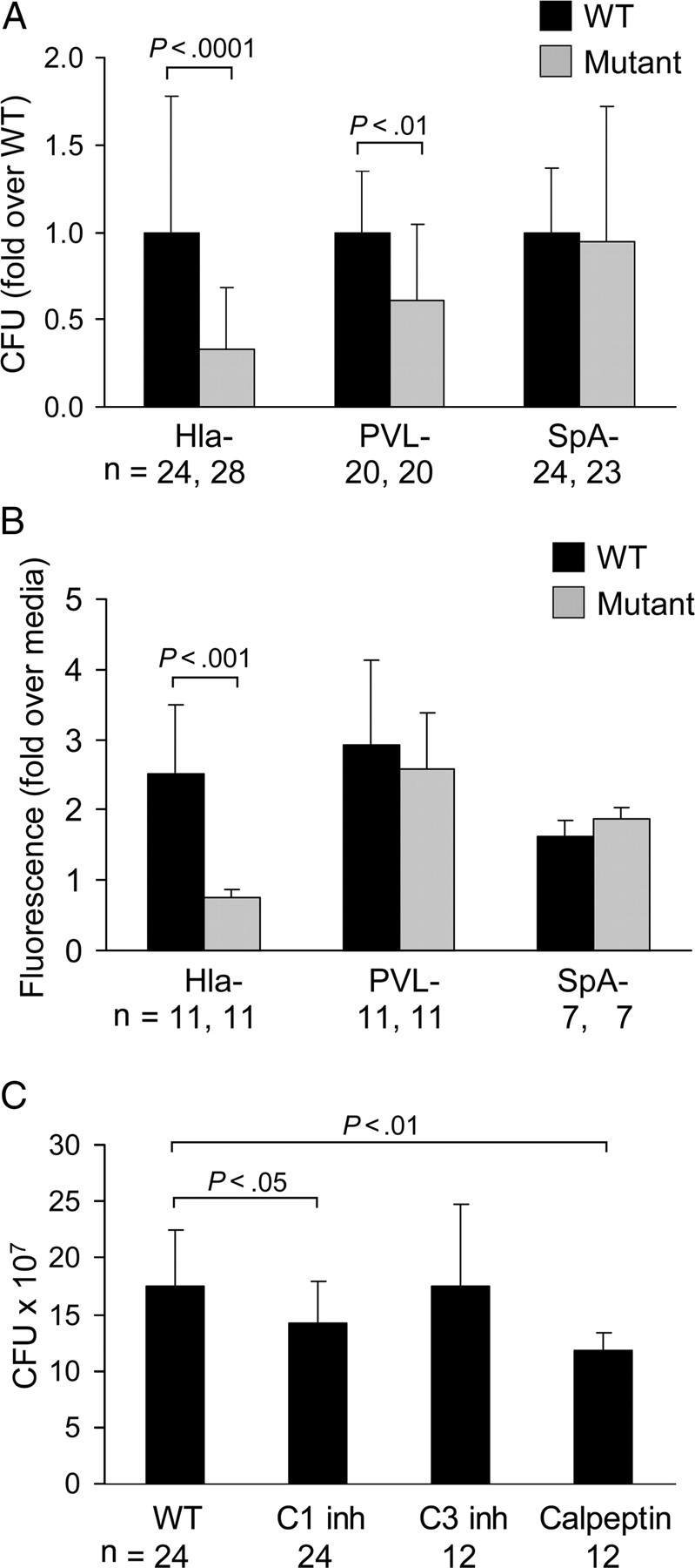 Figure 6.