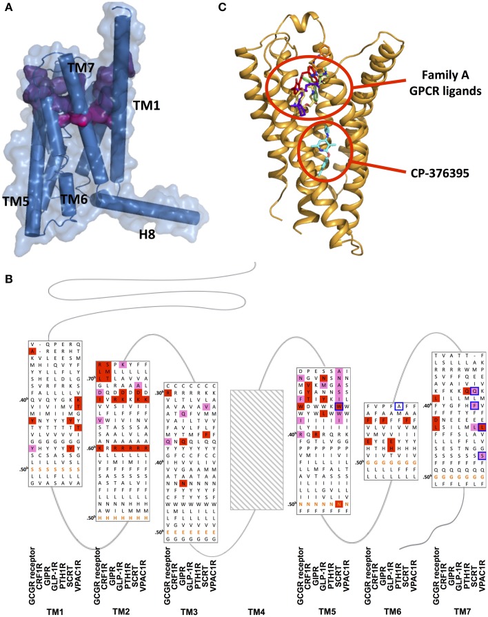 Figure 11