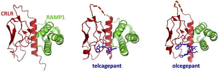 Figure 13