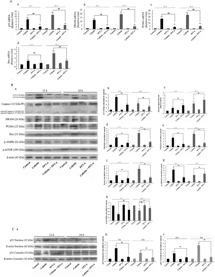 FIG 3