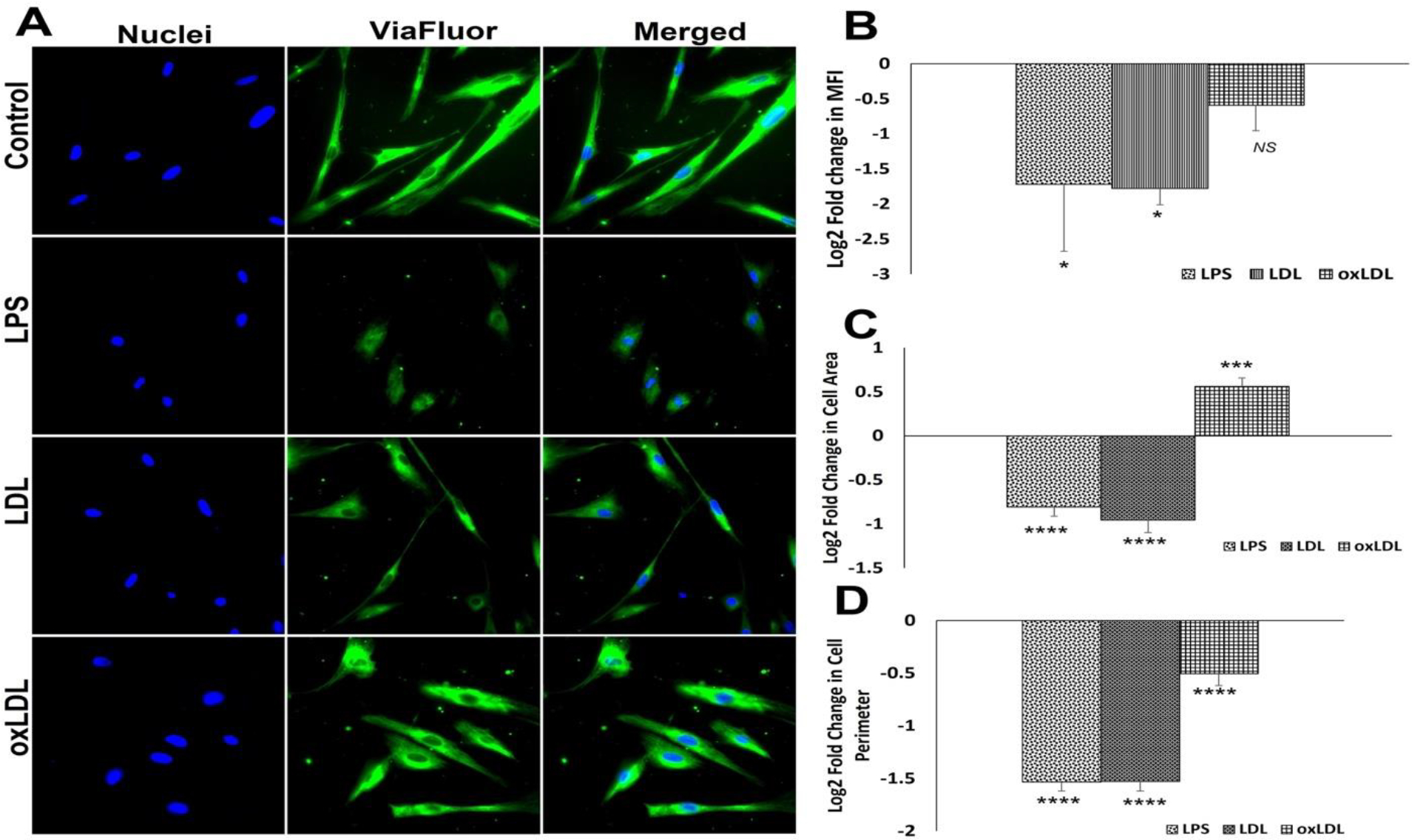 Figure 6: