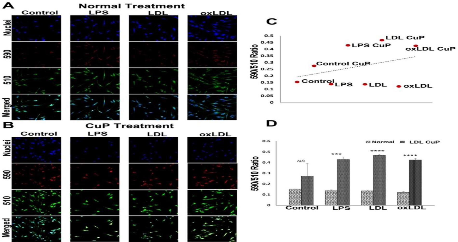 Figure 4: