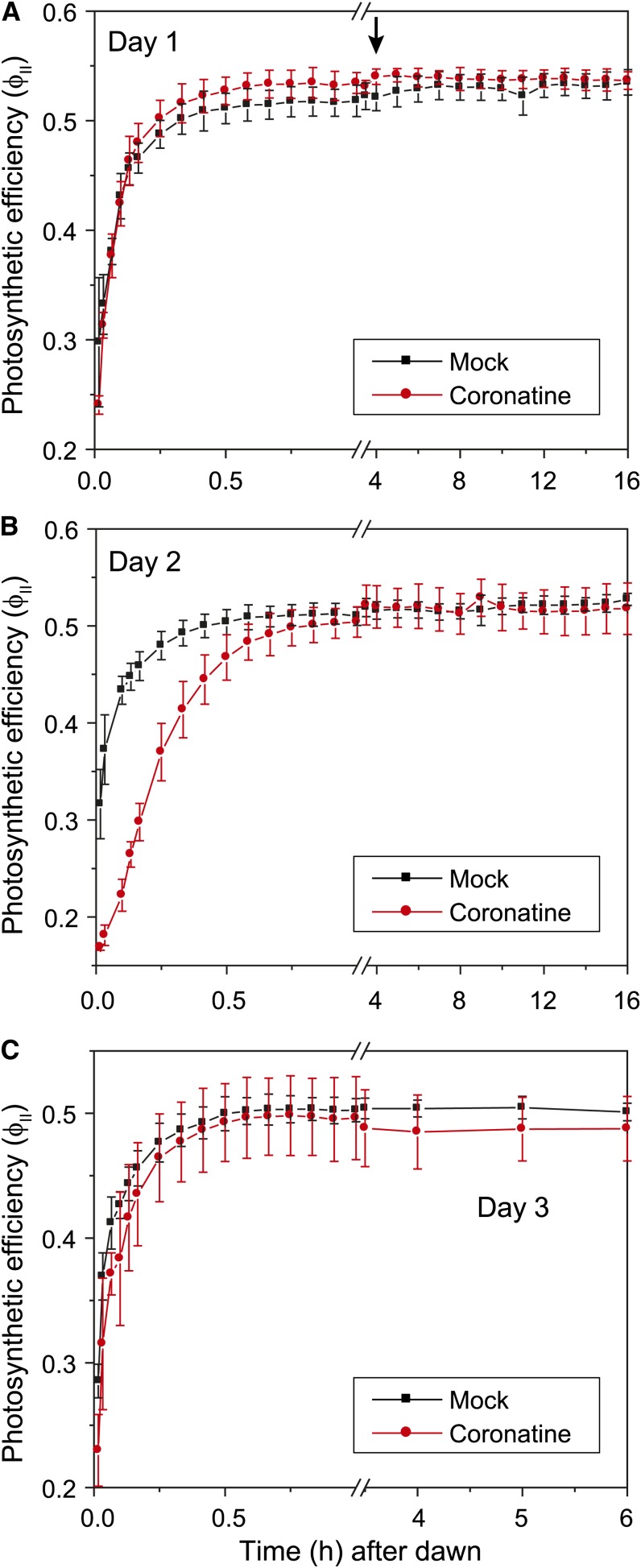 Figure 6.