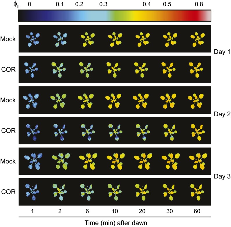 Figure 5.