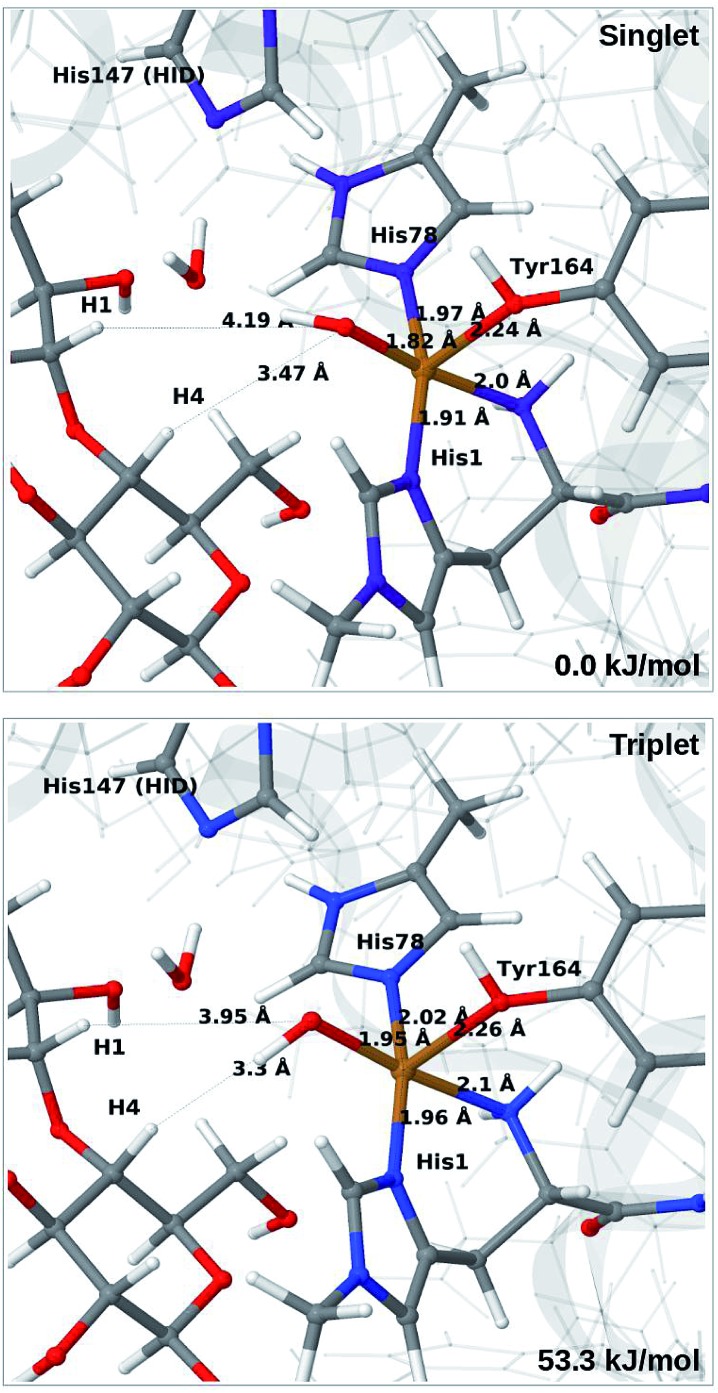 Fig. 7