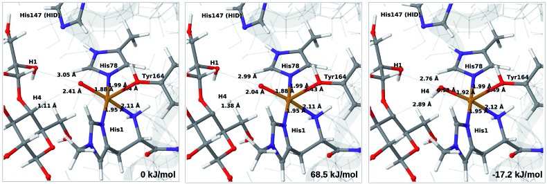 Fig. 8