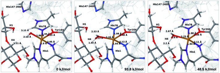 Fig. 10