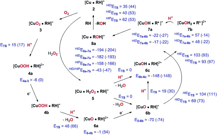 Fig. 14