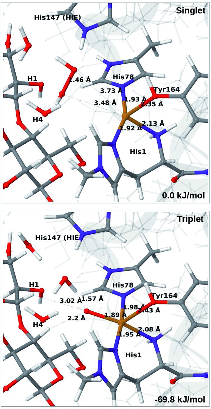 Fig. 6