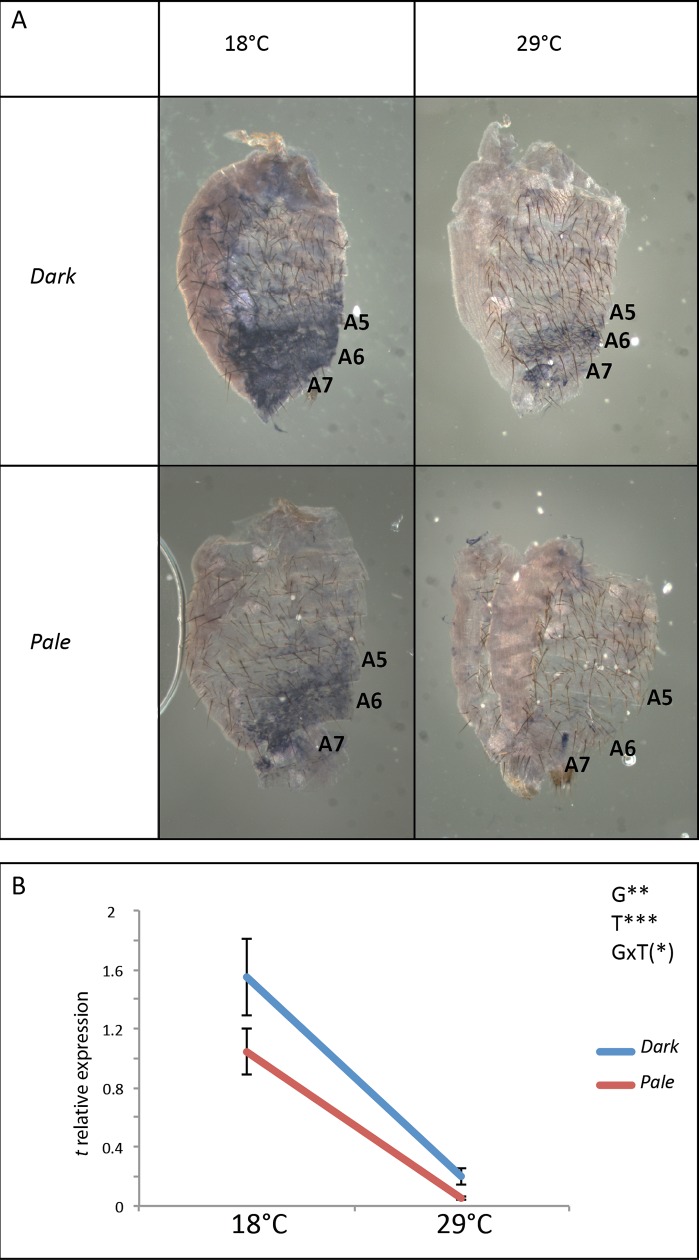 Fig 9