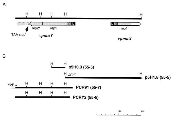 FIG. 5