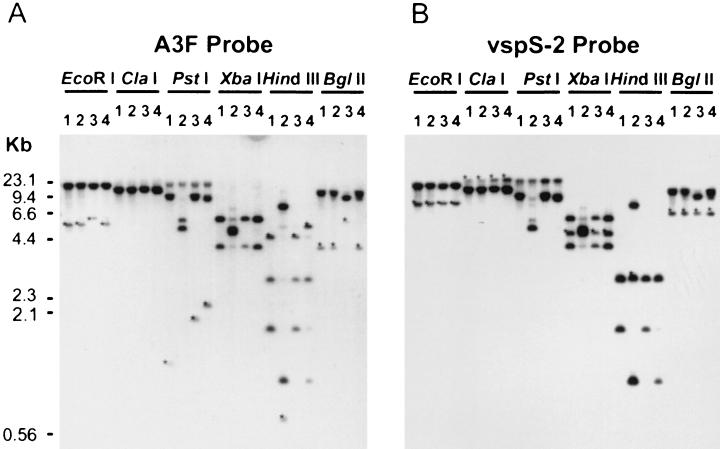 FIG. 4