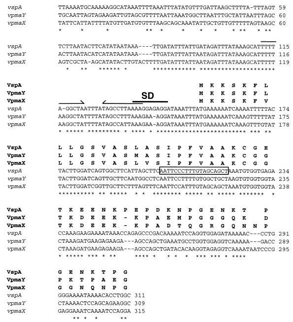 FIG. 6