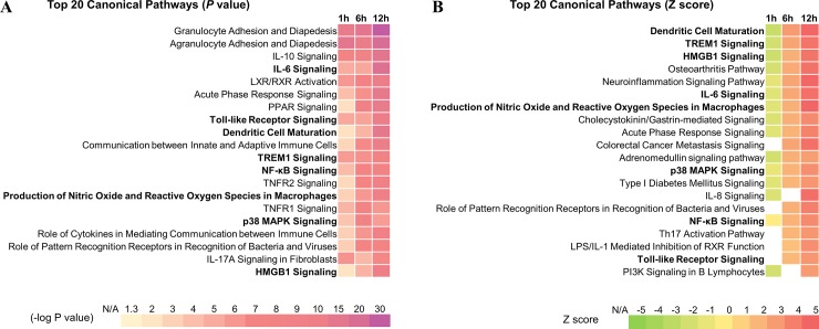 Fig 4