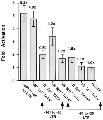 FIG. 6