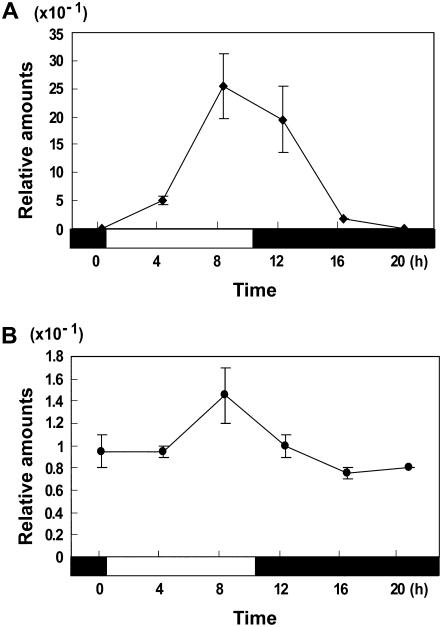 Figure 7.