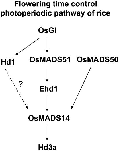 Figure 9.