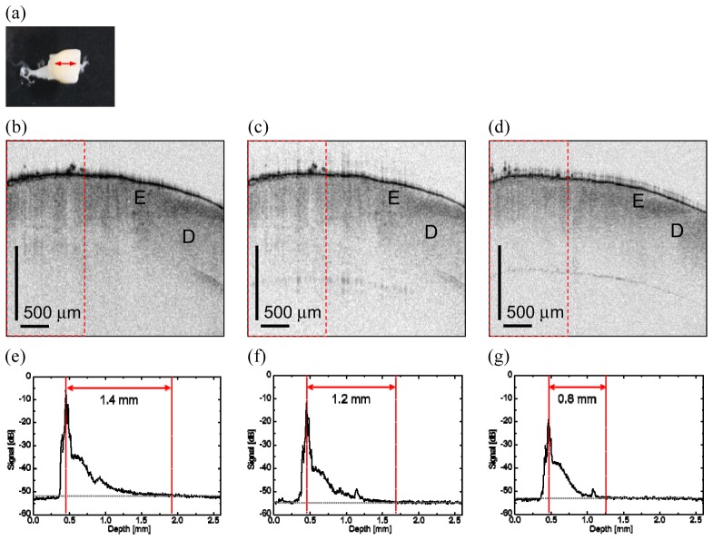 Fig. 9