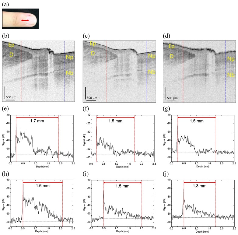 Fig. 10