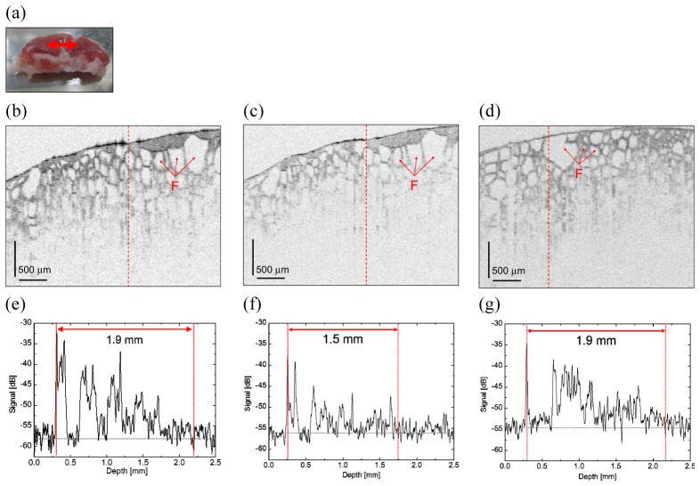 Fig. 11