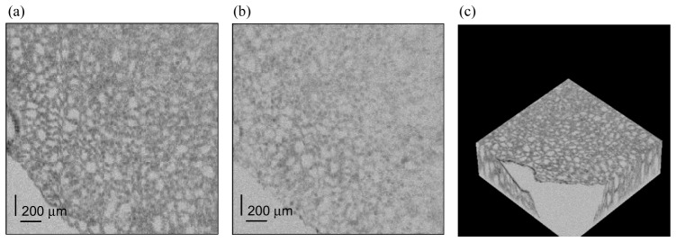 Fig. 12