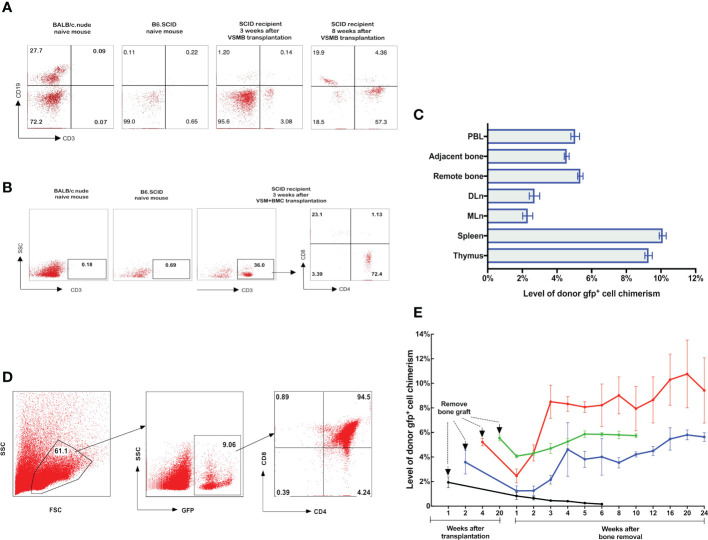 Figure 3