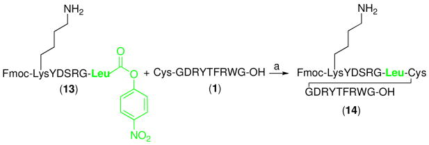 Scheme 5