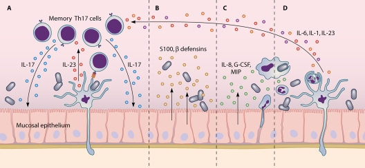 FIG. 1.