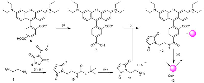 Scheme 1