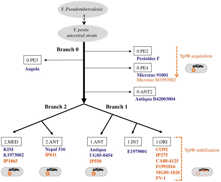 FIGURE 2