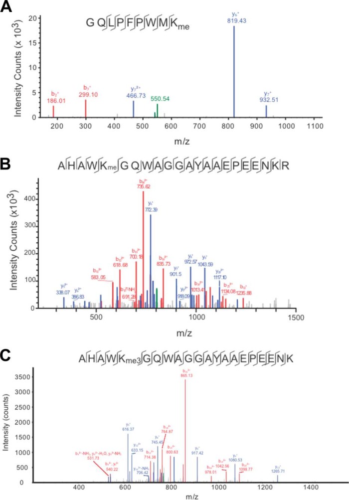 FIGURE 2.