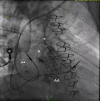 Figure 3