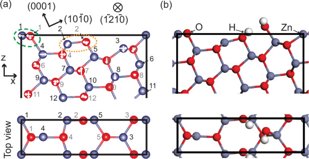 Fig. 3