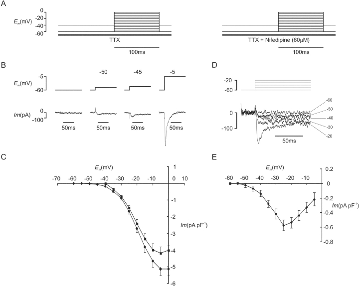 Figure 3. 