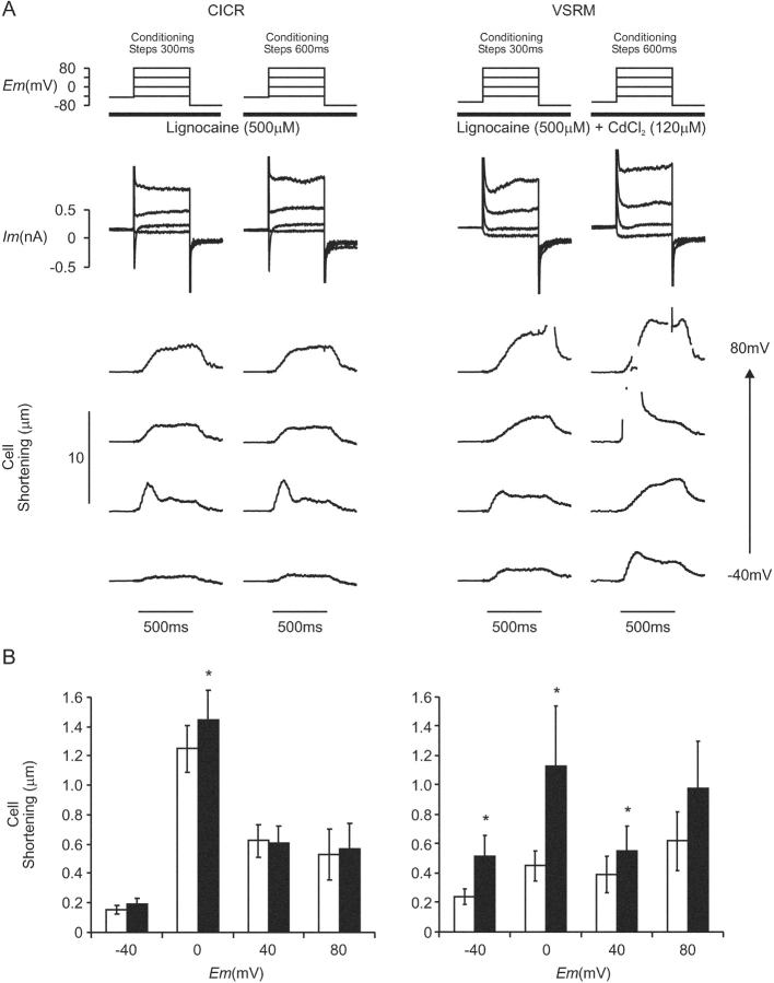 Figure 14. 